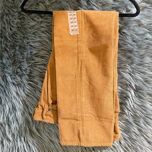 American Eagle Corduroy Pants NEW - Size 28x30